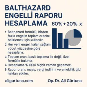 Balthazard Engelli Raporu Hesaplama Balthazard Engelli Raporu Hesaplama